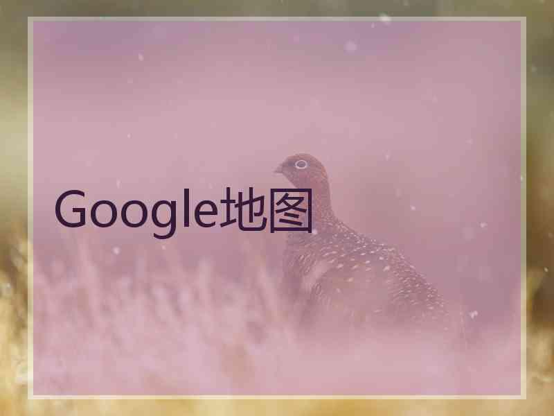 Google地图
