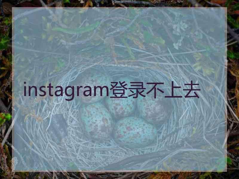 instagram登录不上去