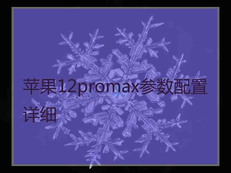 苹果12promax参数配置详细