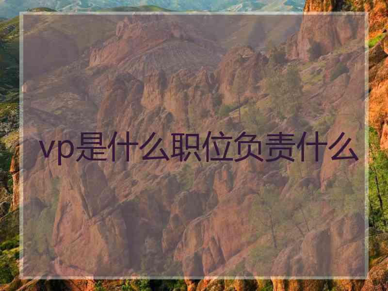 vp是什么职位负责什么