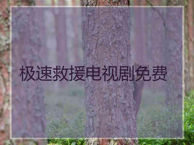 极速救援电视剧免费