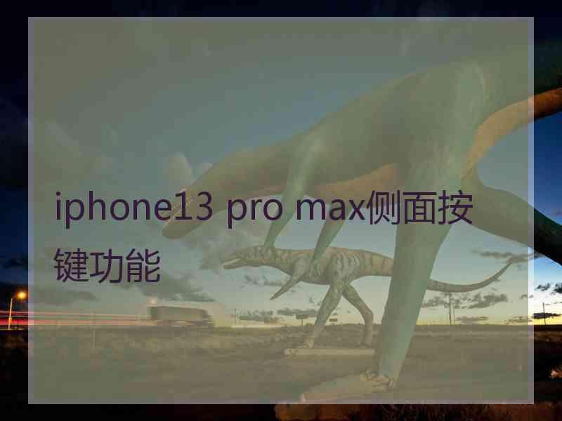 iphone13 pro max侧面按键功能
