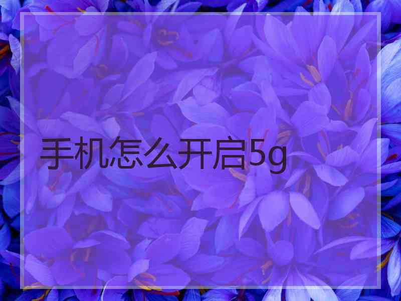 手机怎么开启5g