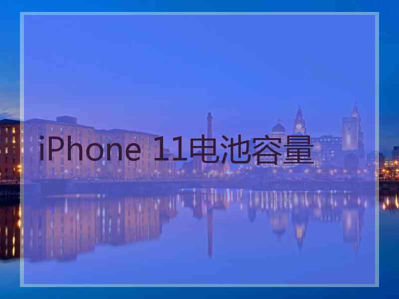 iPhone 11电池容量