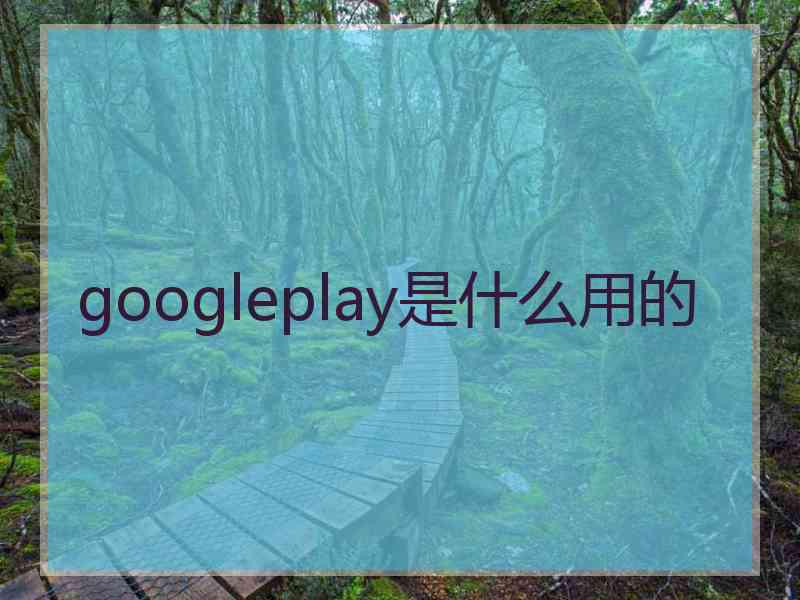 googleplay是什么用的