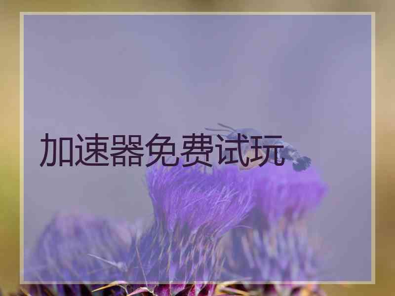 加速器免费试玩