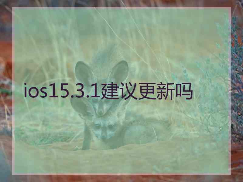 ios15.3.1建议更新吗