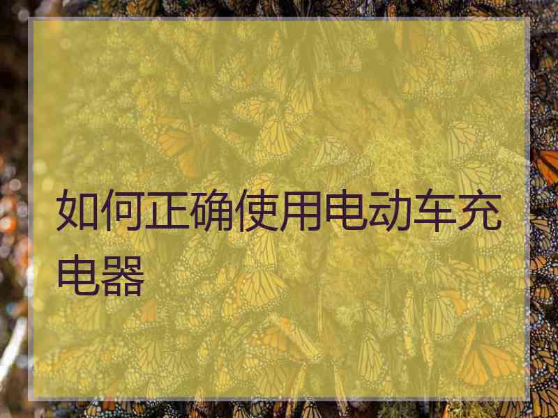 如何正确使用电动车充电器