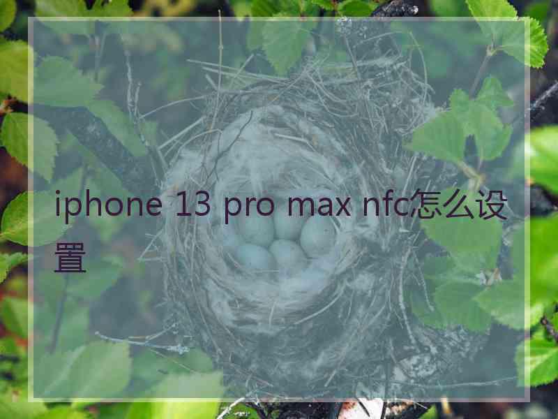iphone 13 pro max nfc怎么设置