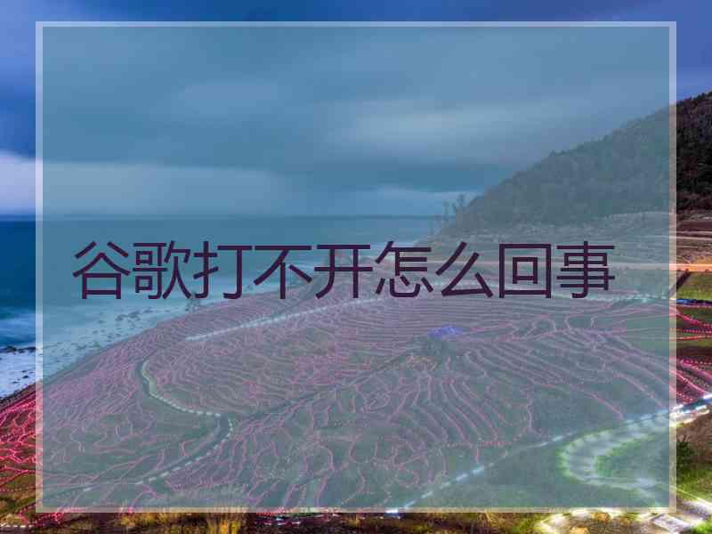 谷歌打不开怎么回事