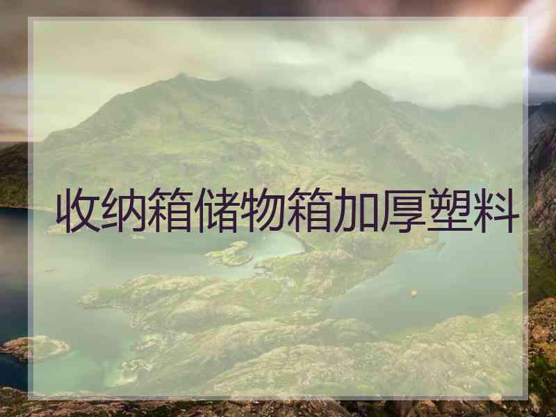 收纳箱储物箱加厚塑料