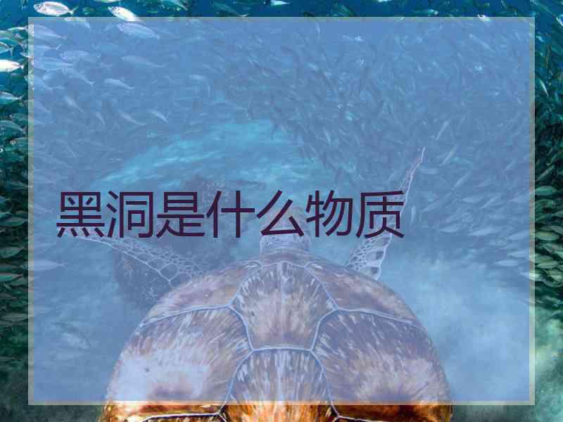 黑洞是什么物质