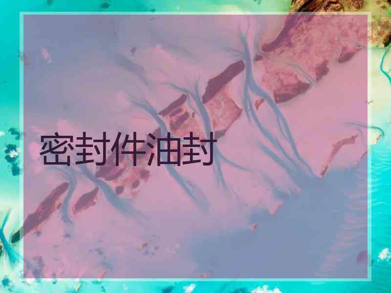密封件油封