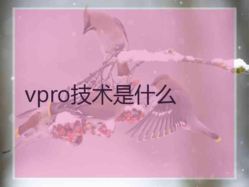 vpro技术是什么