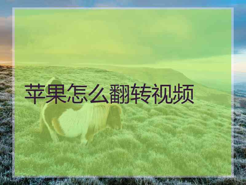 苹果怎么翻转视频