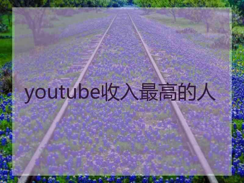 youtube收入最高的人