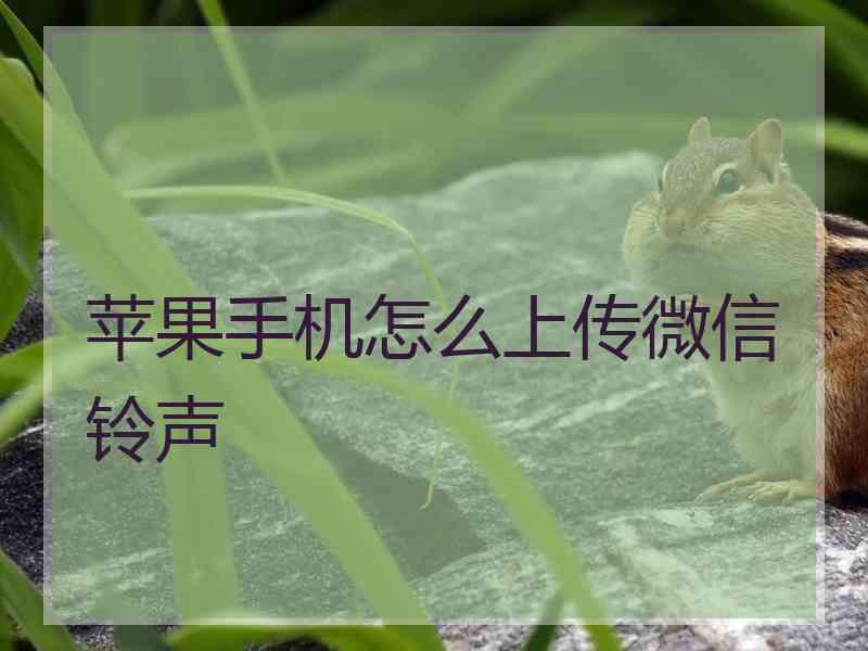 苹果手机怎么上传微信铃声