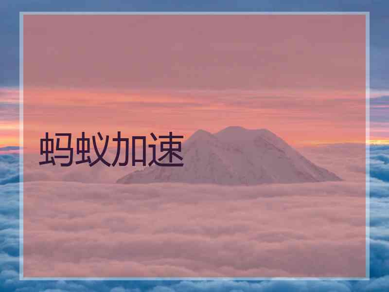 蚂蚁加速