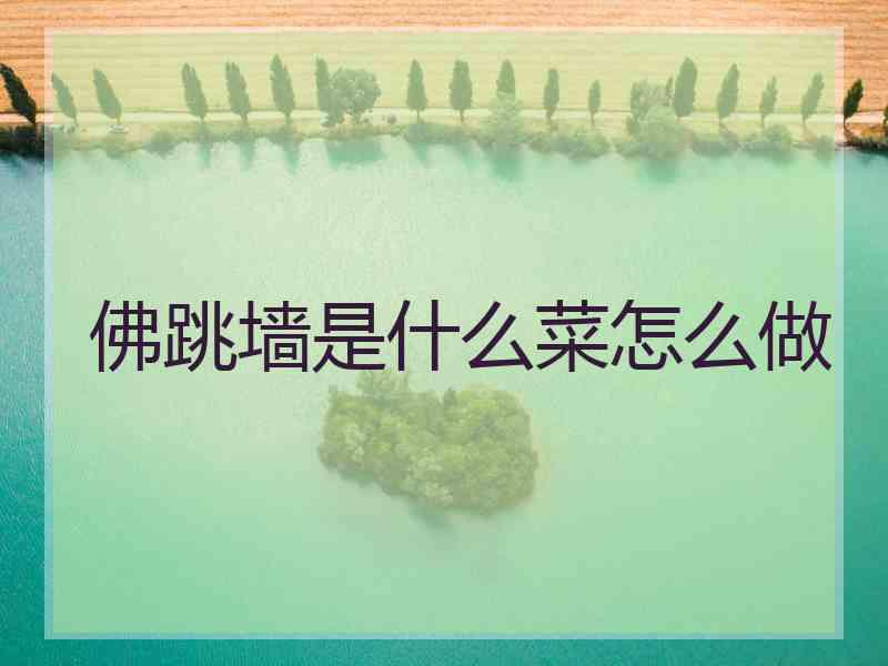 佛跳墙是什么菜怎么做