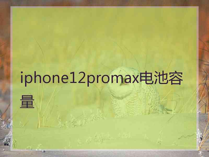 iphone12promax电池容量