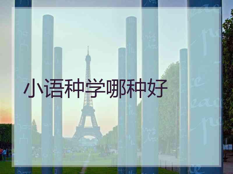 小语种学哪种好