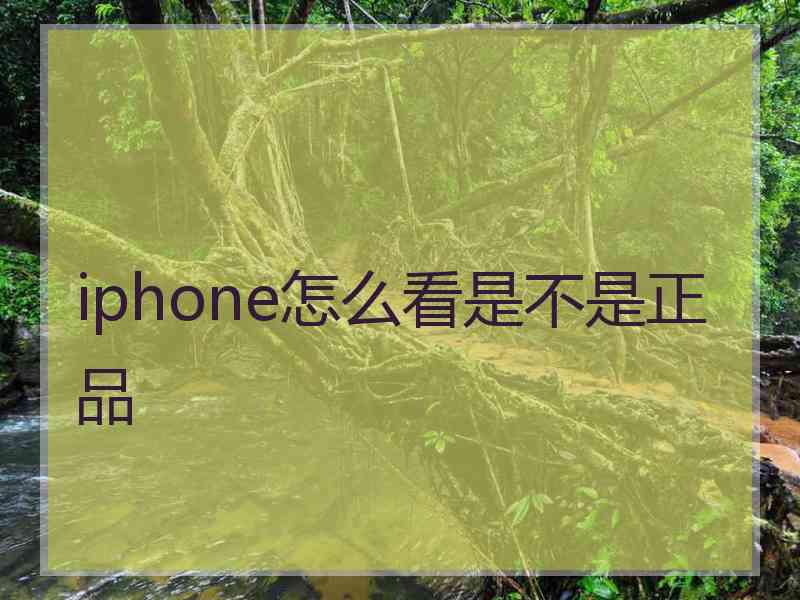 iphone怎么看是不是正品