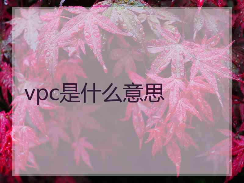 vpc是什么意思