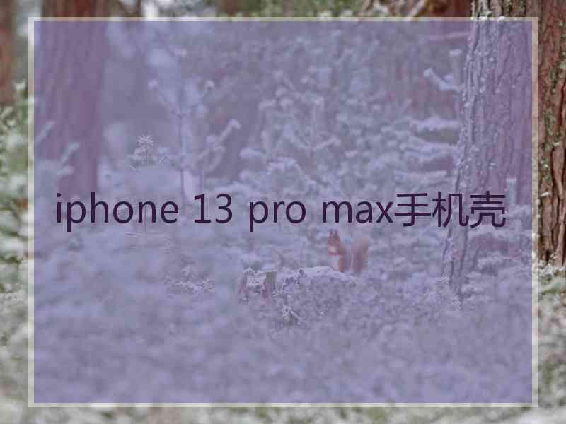 iphone 13 pro max手机壳