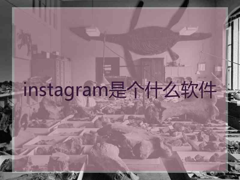instagram是个什么软件