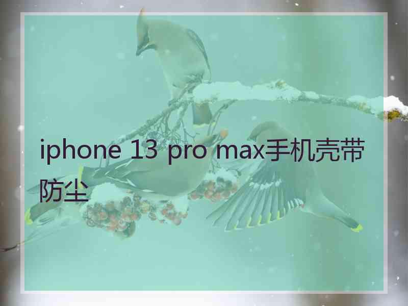 iphone 13 pro max手机壳带防尘
