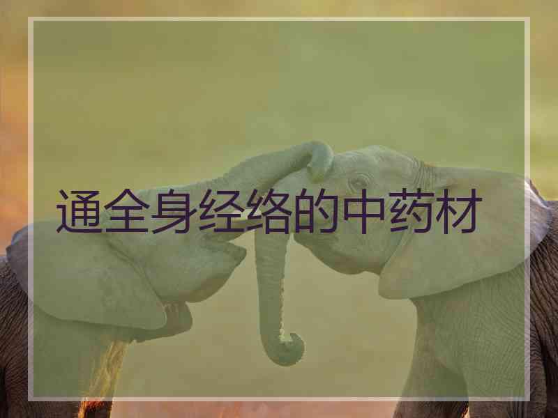 通全身经络的中药材