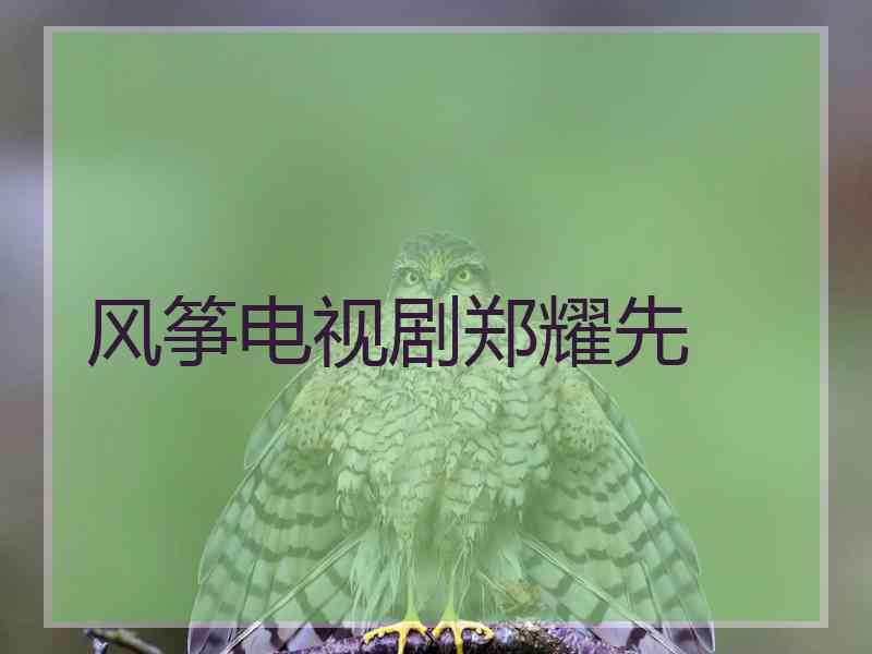 风筝电视剧郑耀先