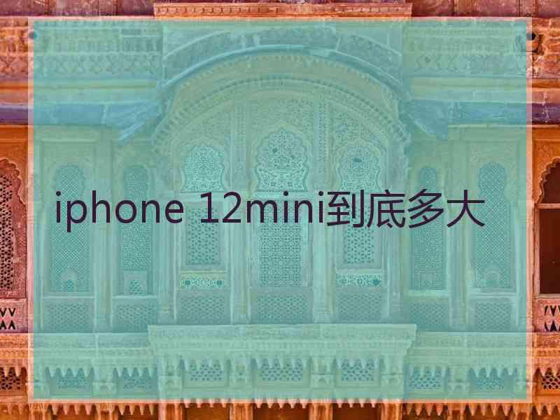 iphone 12mini到底多大