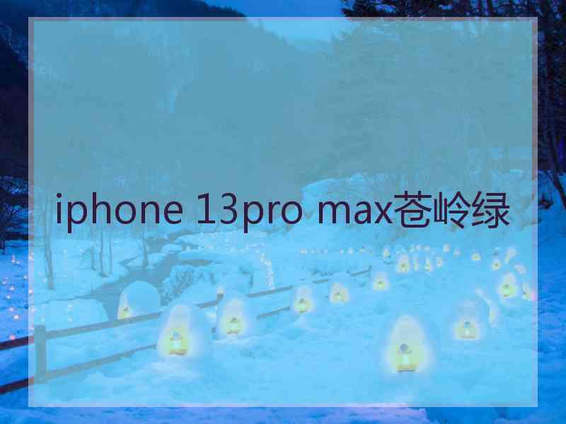 iphone 13pro max苍岭绿
