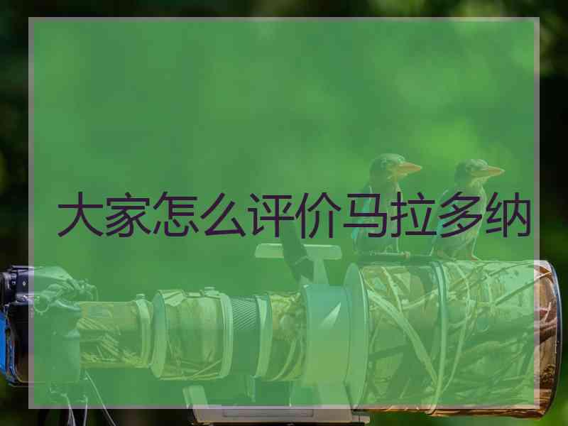 大家怎么评价马拉多纳