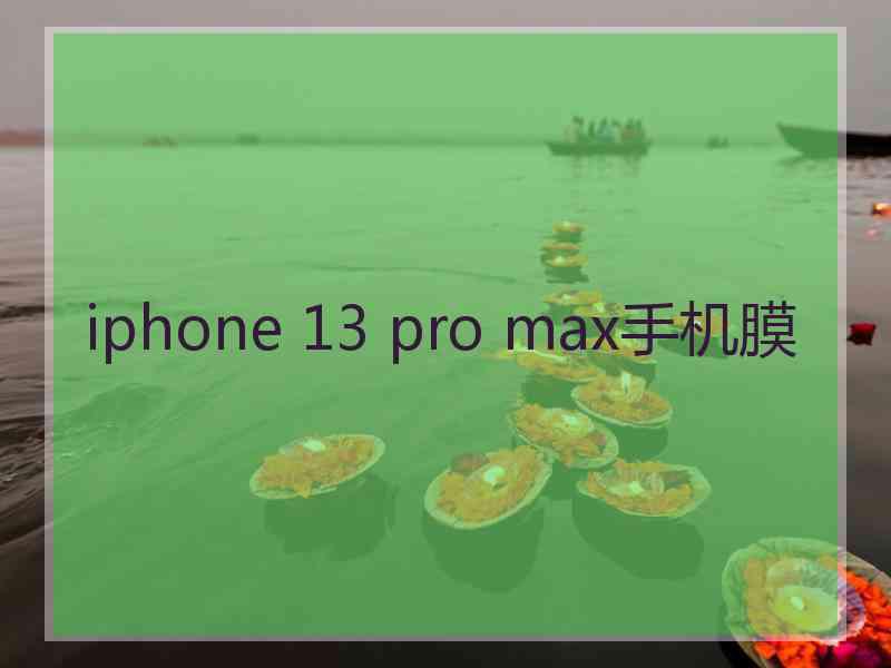 iphone 13 pro max手机膜