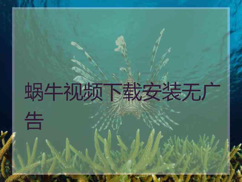 蜗牛视频下载安装无广告