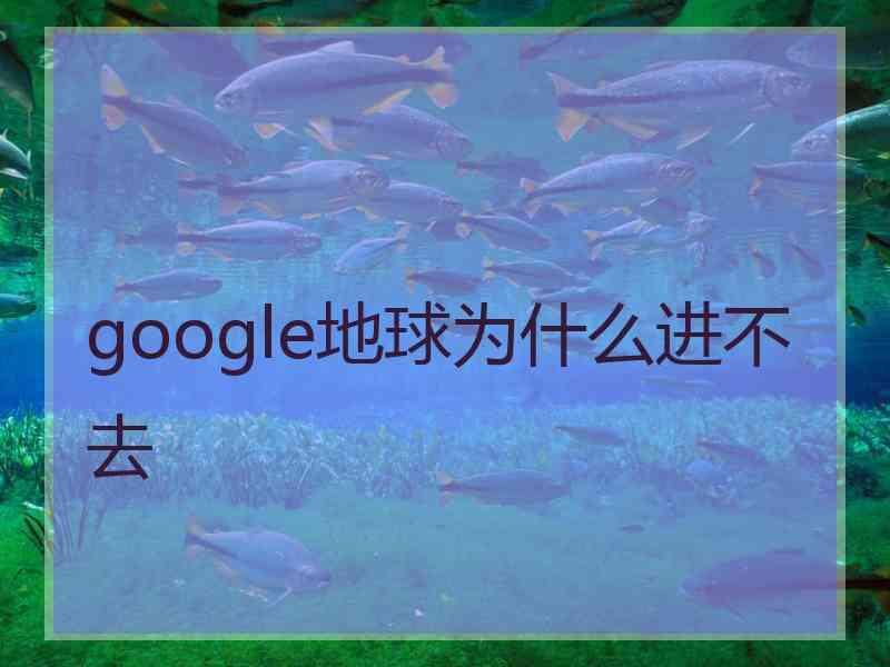 google地球为什么进不去