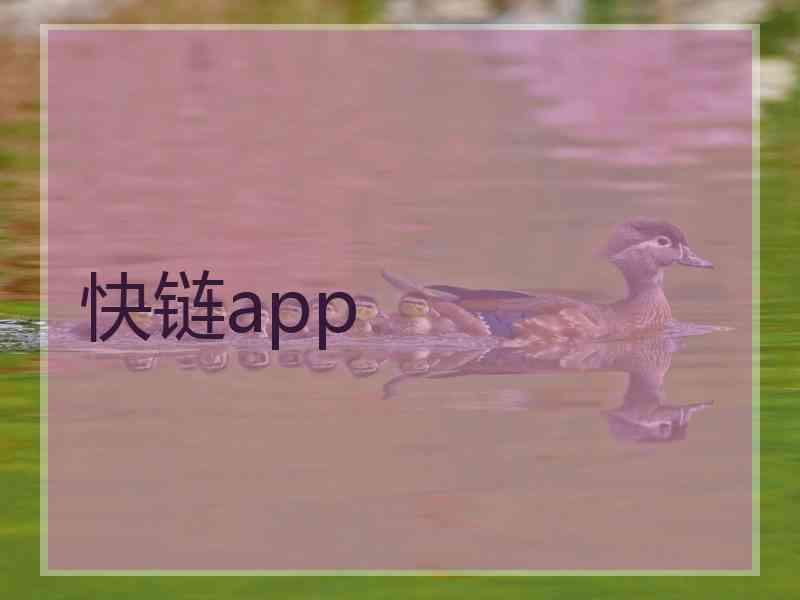 快链app