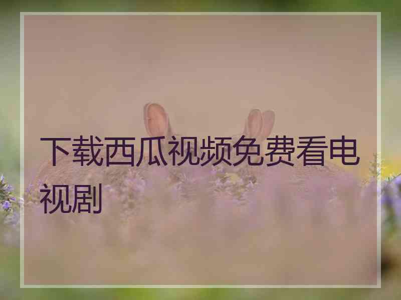 下载西瓜视频免费看电视剧