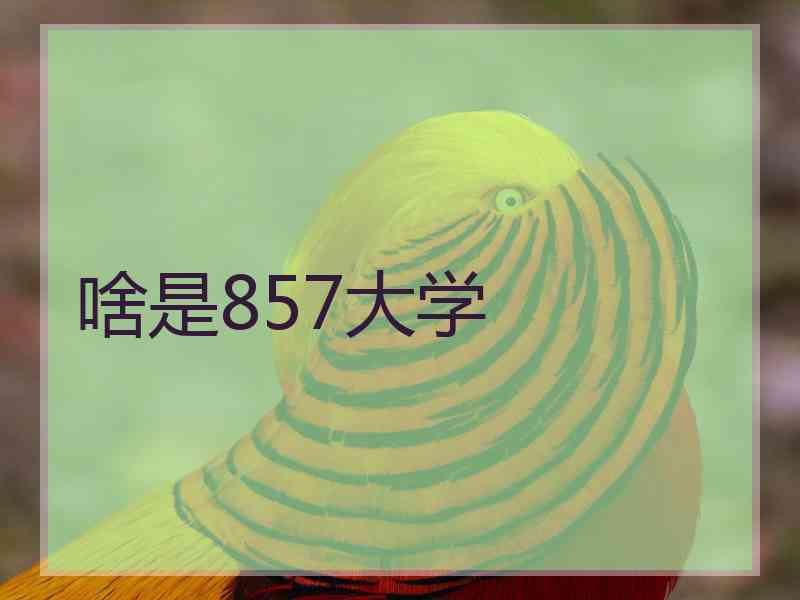 啥是857大学
