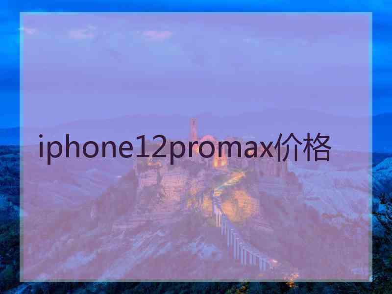 iphone12promax价格