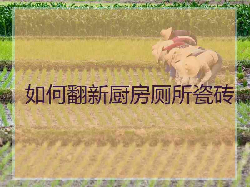 如何翻新厨房厕所瓷砖