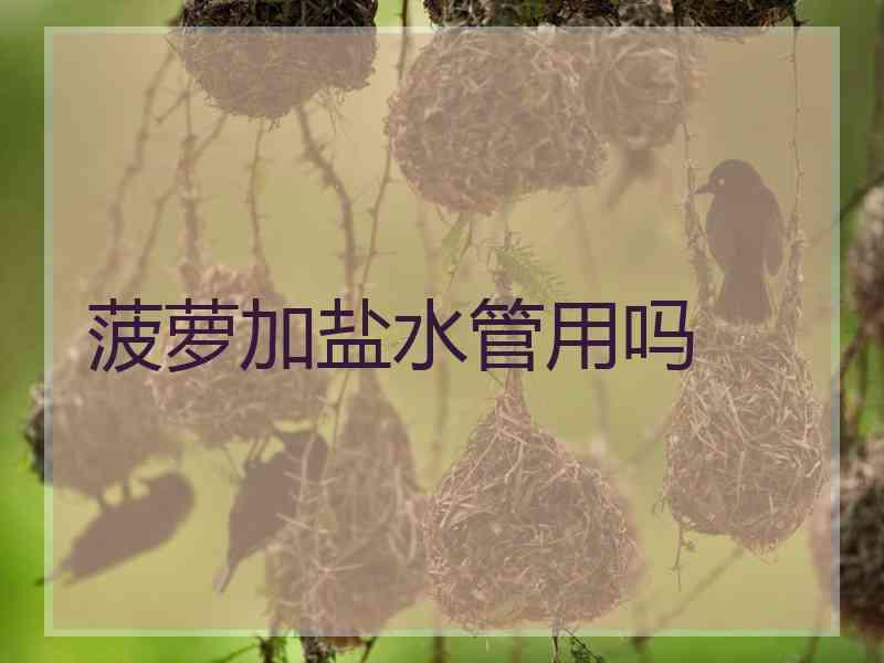 菠萝加盐水管用吗