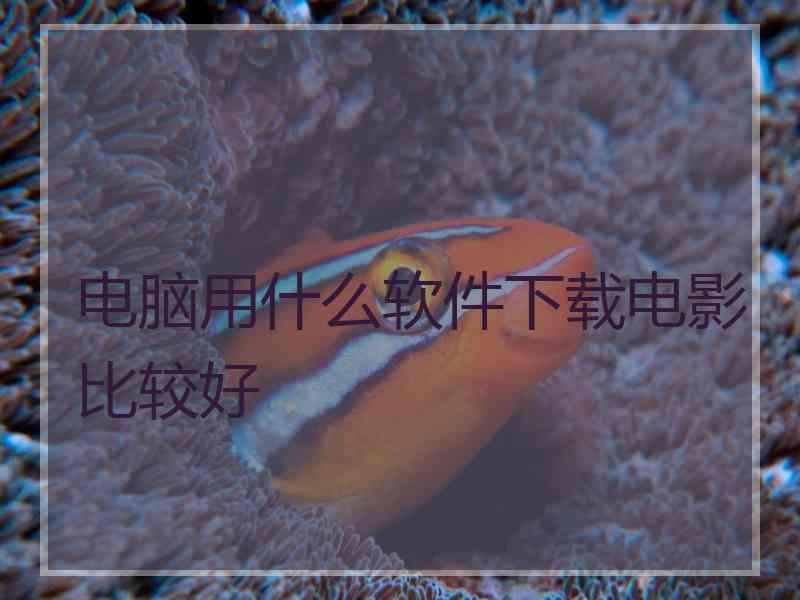 电脑用什么软件下载电影比较好