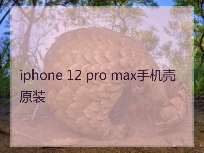 iphone 12 pro max手机壳原装