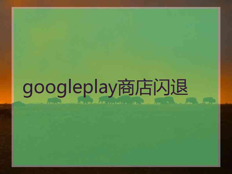 googleplay商店闪退