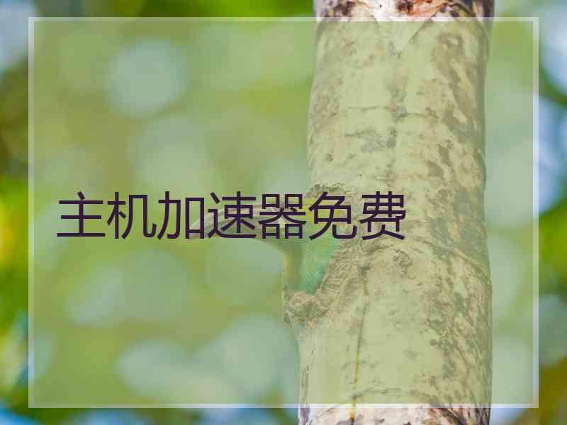 主机加速器免费