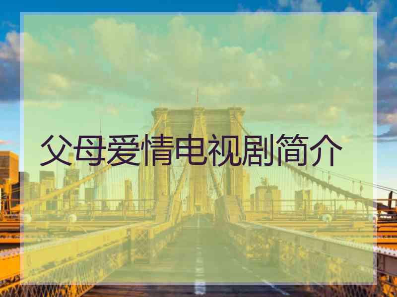 父母爱情电视剧简介