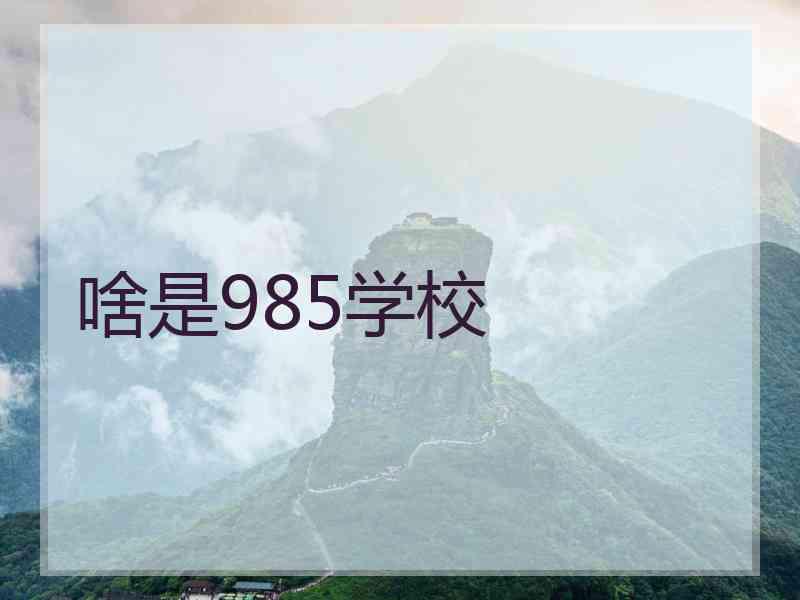啥是985学校
